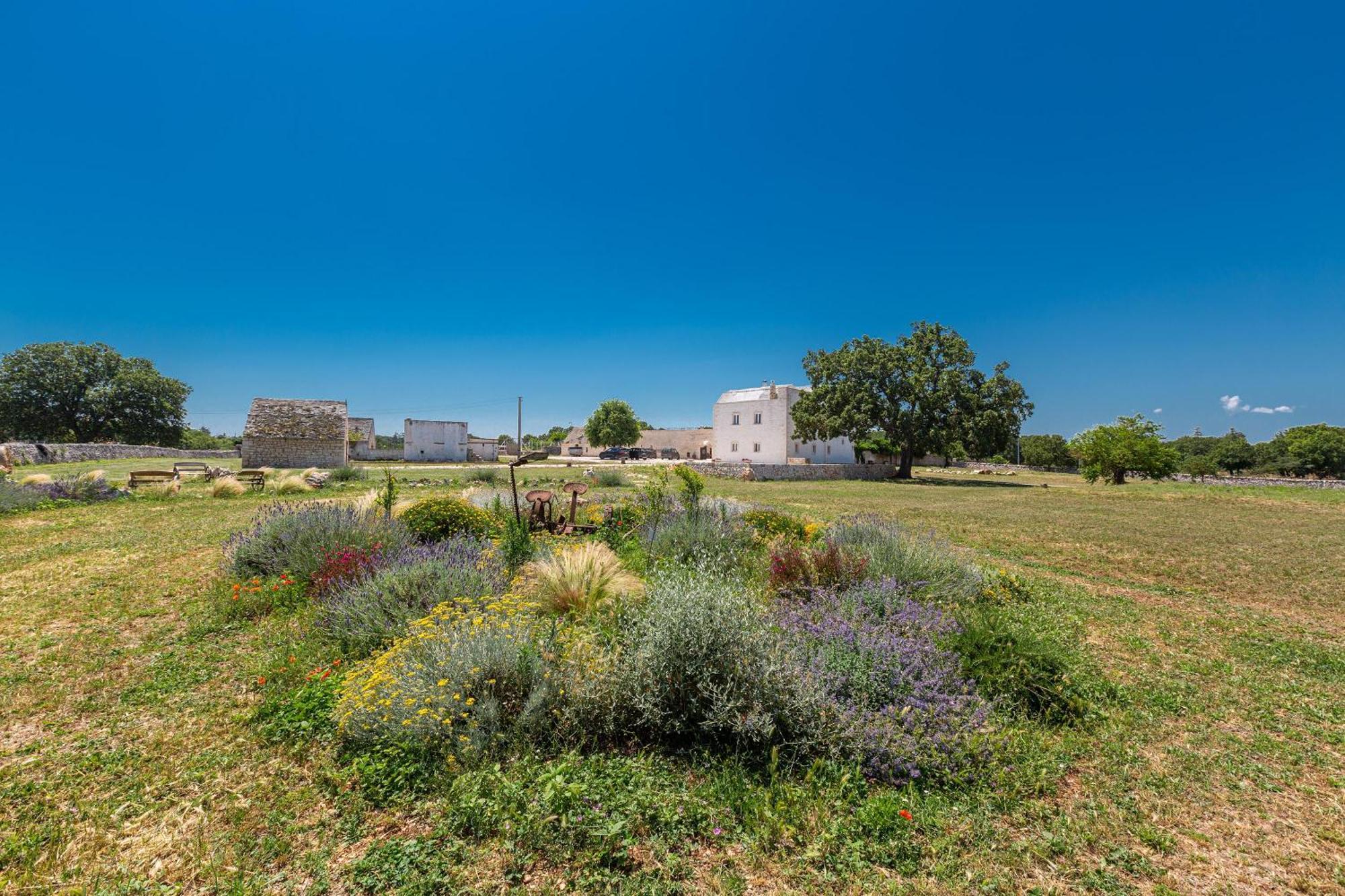 Masseria Nicola Casavola Μαρτίνα Φράνκα Εξωτερικό φωτογραφία